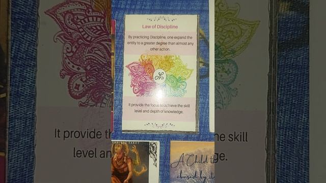 TWINFLAME TARO AND ORACLE READING - 29/06/23 in tamil смотреть онлайн