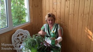 КАК ОПРЕДЕЛИТЬ ЩЕЛОЧНУЮ ЗЕМЛЮ (СОЛОНЧАКИ) ДОМАШНИЙ СПОСОБ