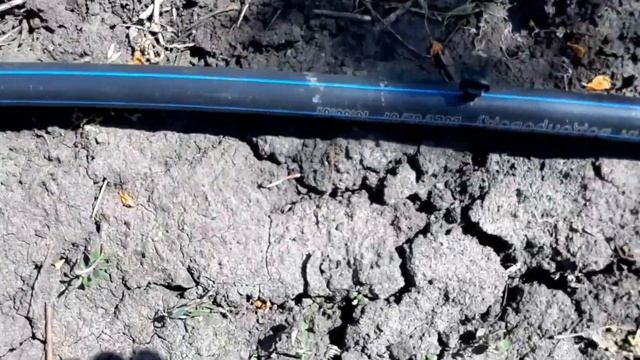 Как организовать удобный полив для растений на участке.