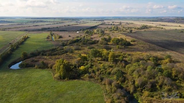 За лесом, у речки гуляют овечки. смотреть онлайн