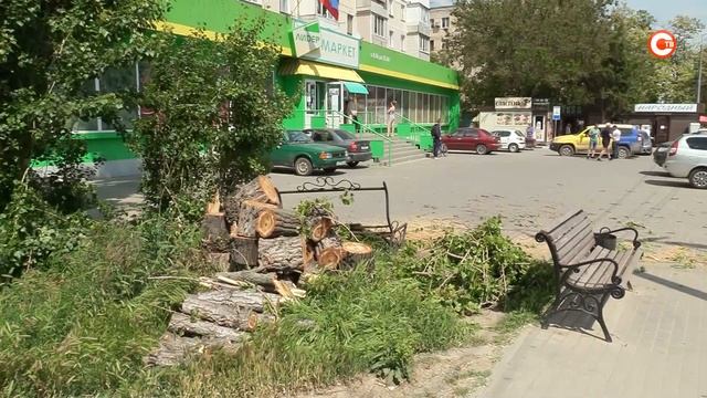 На улице Богданова на мужчину упало дерево смотреть онлайн