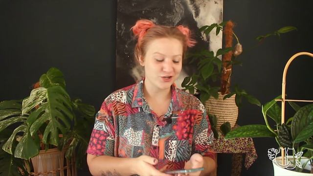 Nodes 101 *what is a node and how to identify one* смотреть онлайн