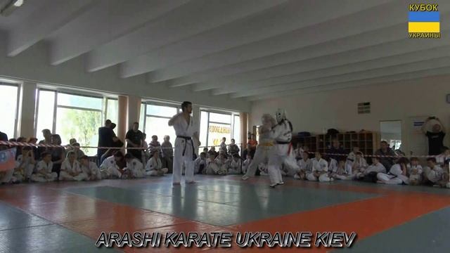 Кубок Украины по Араши Карате (дети) 27.04.2014г. г.Киев смотреть онлайн