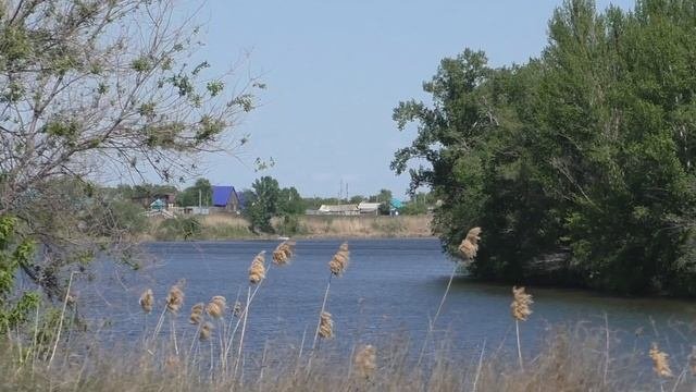 Православное Поволжье (эфир от 04.06.2023 г.)