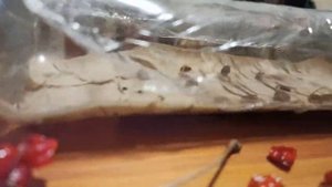 Что у меня растет в феврале на окне. Калина из семян
