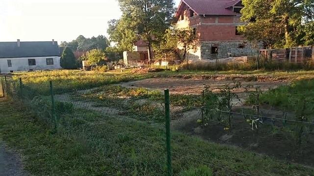 Что садят Поляки на своих гектарах ? Какие дома строят Поляки!