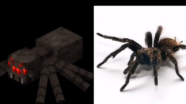 Как выглядят мобы из майнкрафта в реальной жизни. смотреть онлайн
