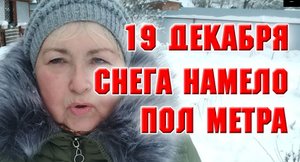 Влог За два дня намело пол метра снега