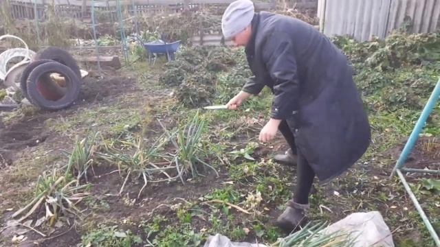 Проводили сына в лагерь /ОБРЕЗАЕМ ?ОБЕД? смотреть онлайн