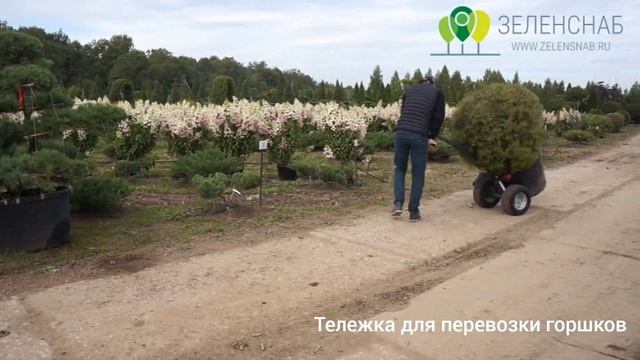 Обзор. Тележка для перевозки горшков на территории питомника или садового центра.