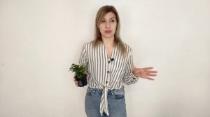 Селагинелла. Уход в домашних условиях. Неприхотливый сад