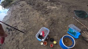 Ловля на фидер и донки на Оке.