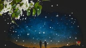 Весна, Любовь, цветущая черемуха... Красивый бесплатный футаж!!!