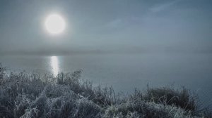 ♫ Ernesto Cortazar - "We Will Share Eternity" (разделим вечность)