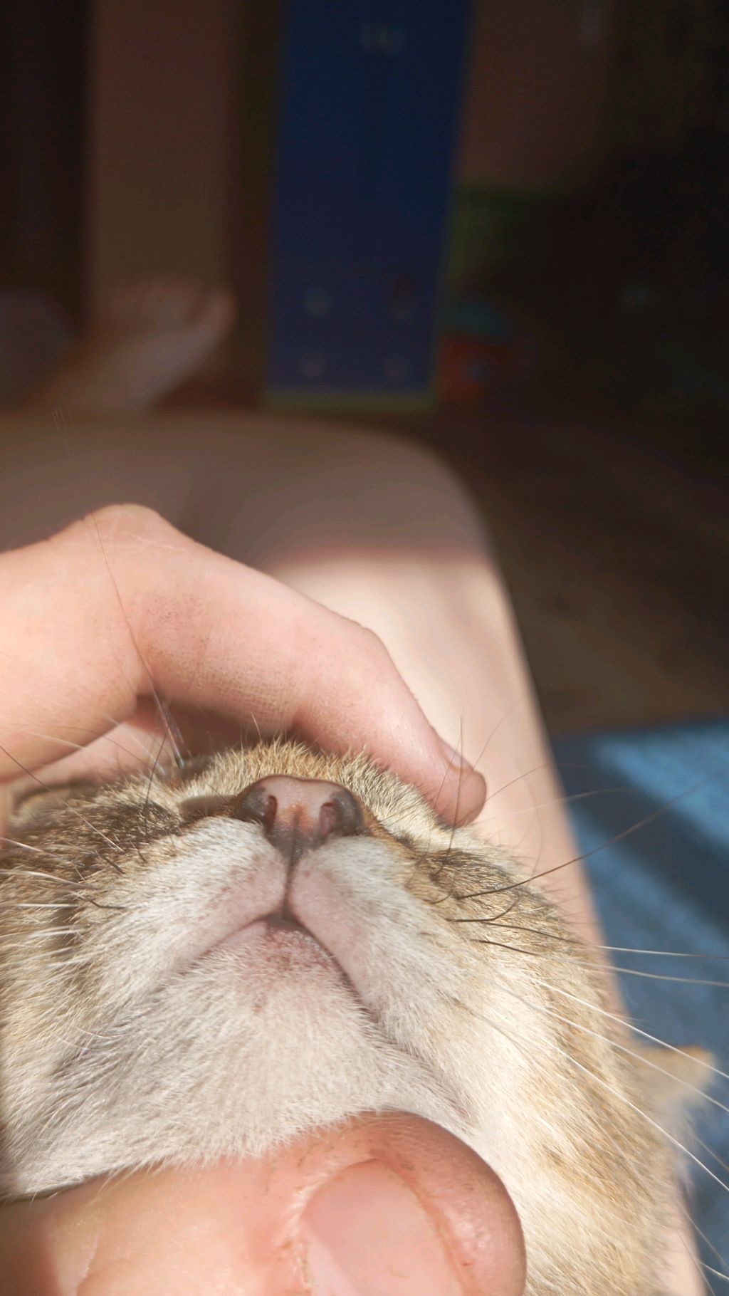 делаю карту для рб #4 смотреть онлайн