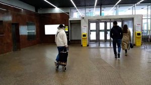Как дойти до зоопарка от метро в Москве