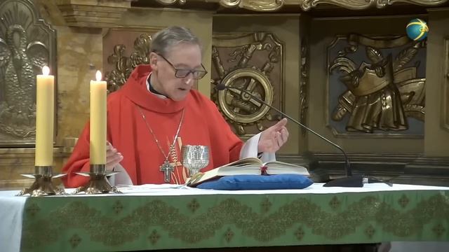Catedral metropolitana de Buenos Aires. Santa Misa del jueves 22 de junio de 2023. смотреть онлайн