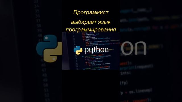 Программист выбирает язык программирования ?#программирование #обезьяна #мем #chatgpt #python