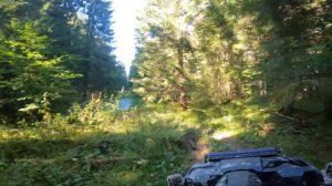 Покатушки на квадроциклах