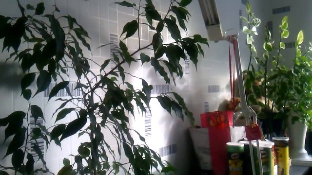 Дед умрёт. boooh.ru смотреть онлайн