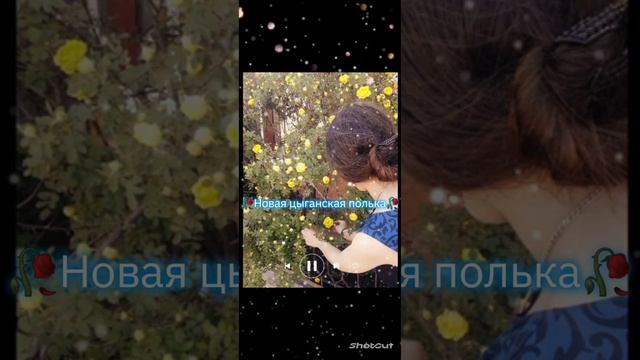 ?_НоВаЯ ЦыГаНсКаЯ ПоЛьКА _? смотреть онлайн