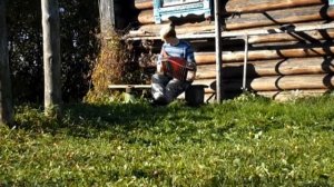 Барыня(из неопубликованного)