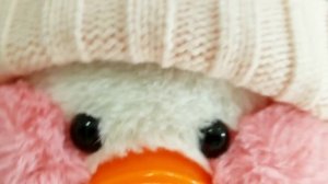 #lalafanfan распаковка посылки для утки #лалафанфан Кряквательные новости Duck unboxing lolsurprise