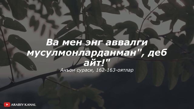 Musulmonlarga xitob | Мусулмонларга хитоб | Шайх Абдулҳамид Кишк раҳимаҳуллоҳ смотреть онлайн