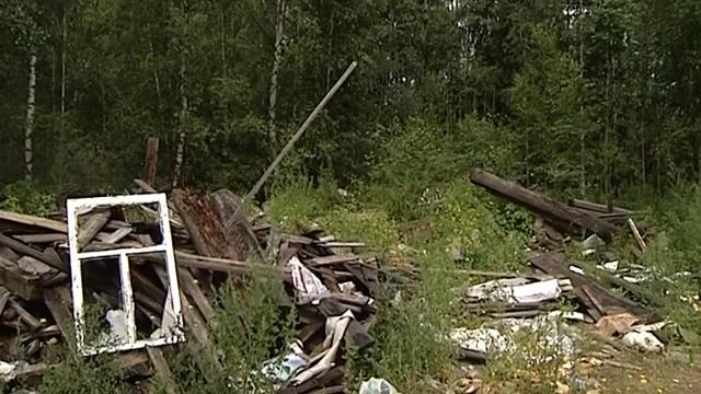 В Заволжском районе Ярославля выявлены несанкционированный свалки смотреть онлайн