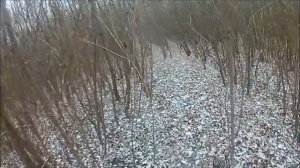 Охота на фазана. С пневматикой Hatsan 125 TH в -4 -6 .