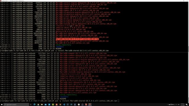 MariaDB 10.5 Installation, Replication & MaxScale Setup (Part 1) смотреть онлайн
