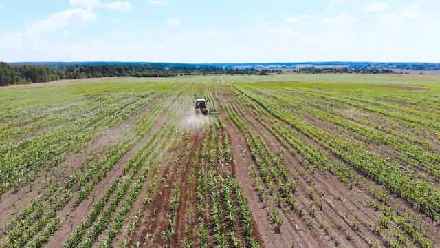 Культиватор-растениепитатель КРН 5,6 производства ОАО "Бобруйсксельмаш" смотреть онлайн