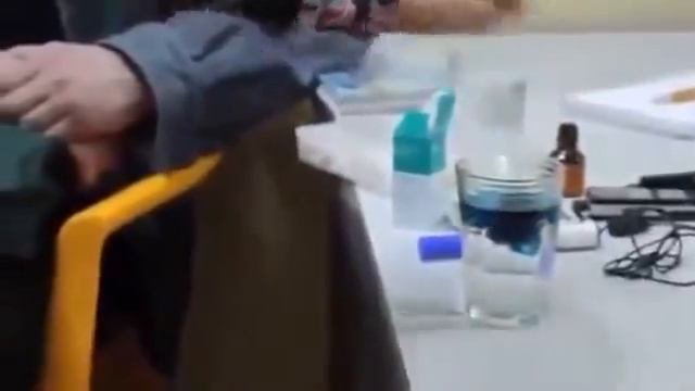 приколисты Кораллового клуба