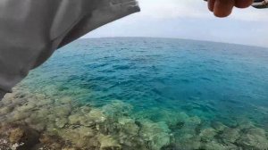 Рыбалка в Хургаде. Отель New Eagles Aqua Park Resort, Египет