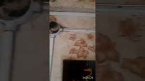 Не работает розетка