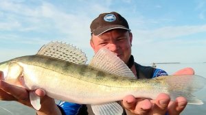 Как же злобно он клюёт на тяжелый джиг / Простая рыбалка с AikoLand TV