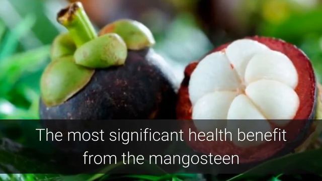 Drink a Glass Of Mangosteen Juice for Health Benefits Every Day/ Amazing Fruit!!! смотреть онлайн