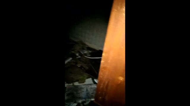 Заброшенное здание в п.Кедровое #заброшенки #заброшенкиЕкатеринбург #заброшенкиКаринаЗмей