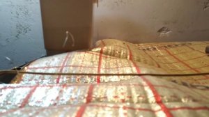 Выращивание Бройлеров Как Бизнес/ Бройлерам 22 дня Опережают Таблицу