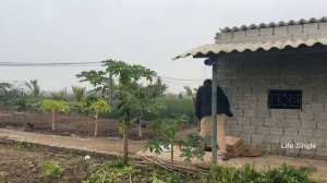 Single Mother-Kicked out of the house by her husband,a single mother meets an abandoned disabled do