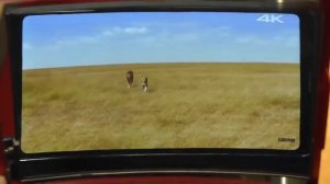 Увеличительное стекло подставка для мобильного телефона Обзор товара. Заказать с Алиэкспресс