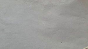 Разбор реле OEG SDT-SS-112DM