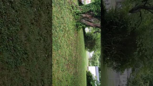 Talstar professional update смотреть онлайн