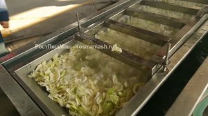 Мойка  листовых и кочанных салатов GB-4000 от РостПищМаш