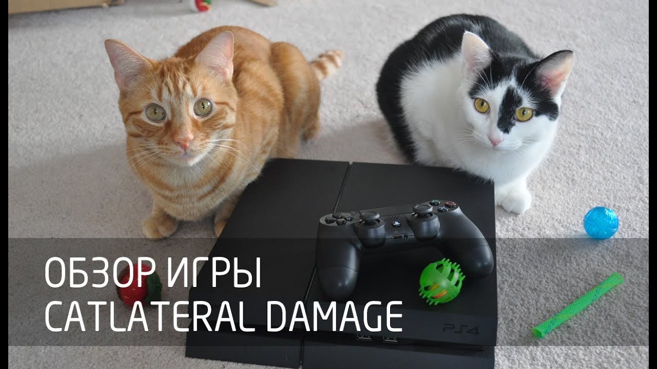 [Обзор игры] Catlateral Damage