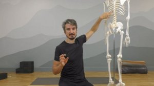 Скручивания или осевое вращение в Йоге. Теория