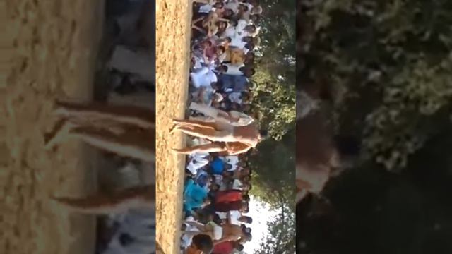 Anwar Shah pehlwan ki kushti hanumanghar