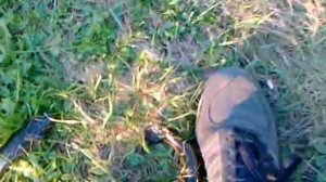 мазиловский пруд