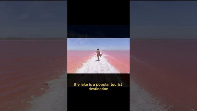 The Wonder of Hillier Lake - Australia's Unique Pink Lake#dicovery #travel #history #science