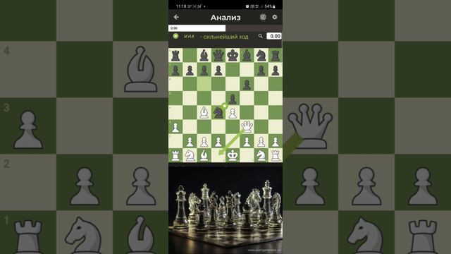 Как не надо играть в шахматы или быстрый мат